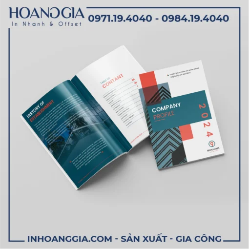 In hồ sơ năng lực