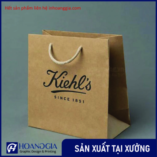 In túi kraft nâu
