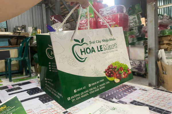 In Túi Giấy Đựng Hoa Quả