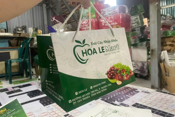 In Túi Giấy Đựng Hoa Quả