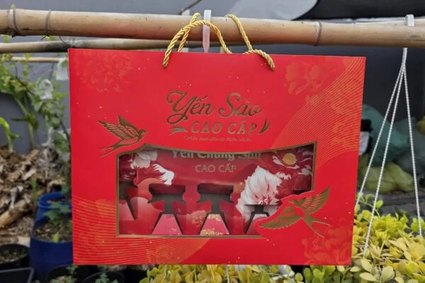In Túi Giấy Đựng Quà Tết