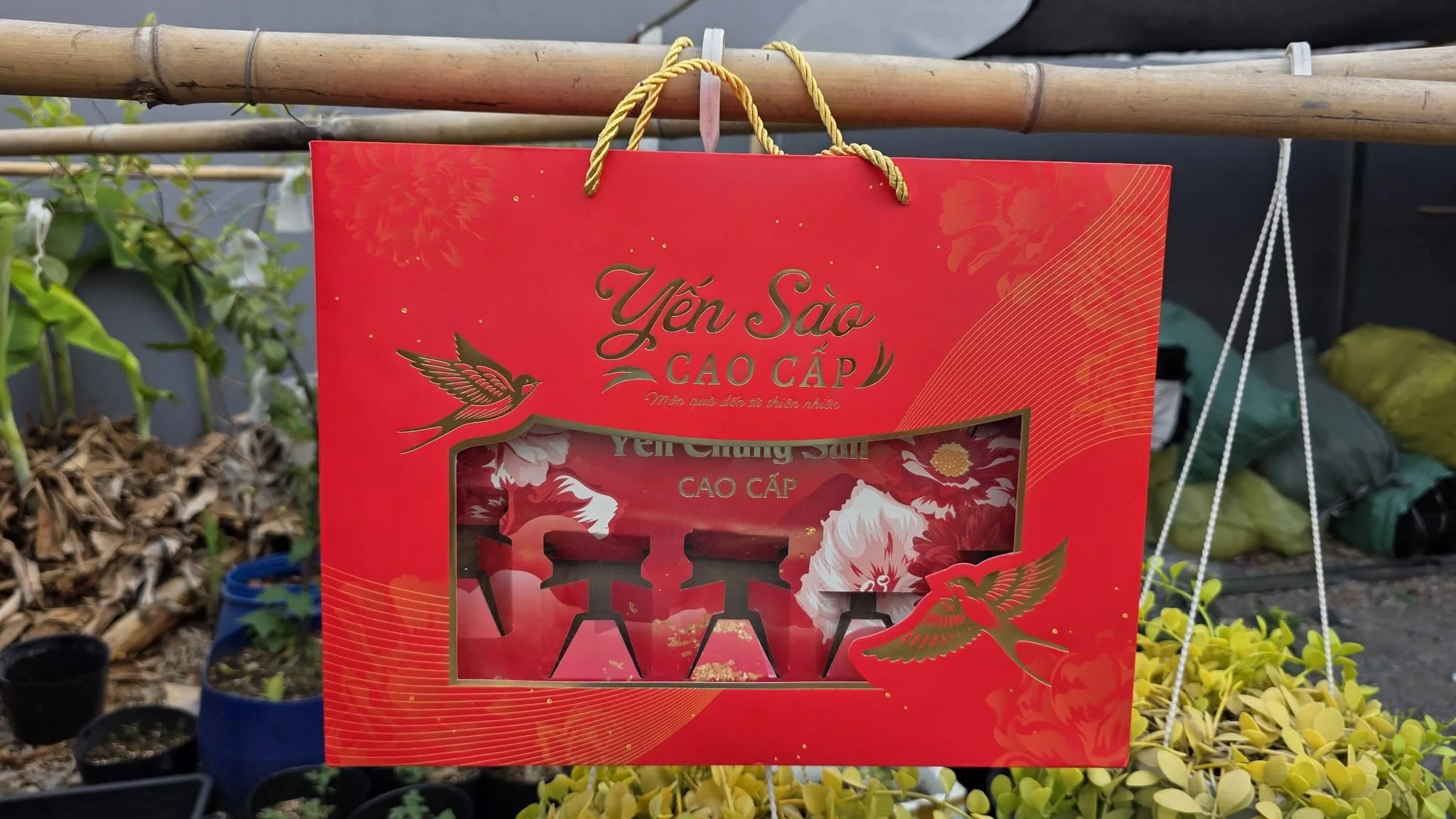 In Túi Đựng Quà Tết - In Hoàng Gia Hà Nội