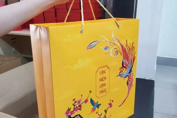 In Túi Giấy Đựng Quà Tết