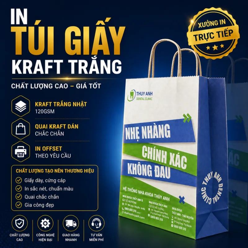 In Túi Giấy Nha Khoa - In Hoàng Gia Hà Nội