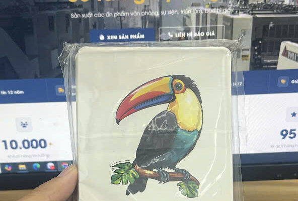 In Flashcard - In Hoàng Gia Hà Nội