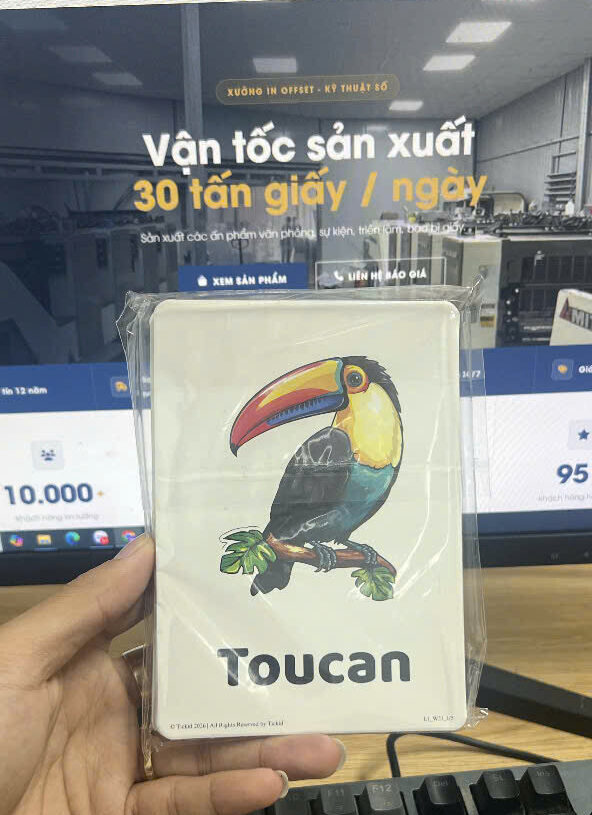 In Flashcard - In Hoàng Gia Hà Nội