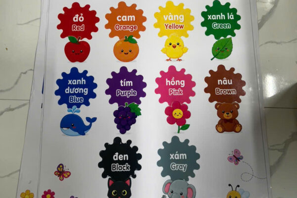 Bảng Học Màu Sắc - In Hoàng Gia Hà Nội