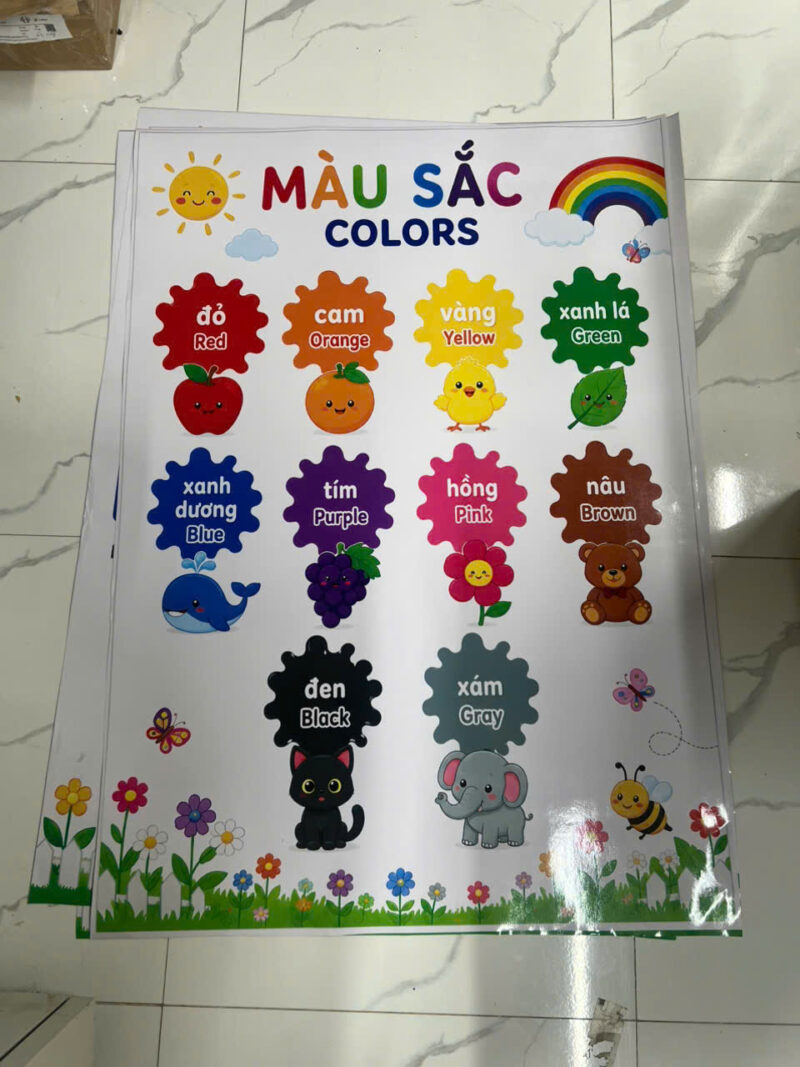 Bảng Học Màu Sắc - In Hoàng Gia Hà Nội