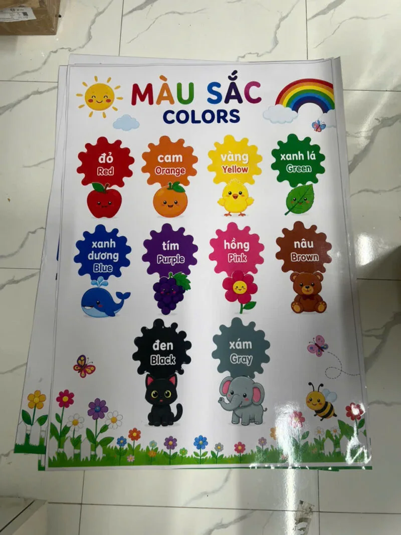 Bảng Học Màu Sắc - In Hoàng Gia Hà Nội
